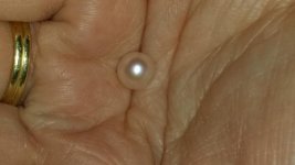20170126_161929.jpg