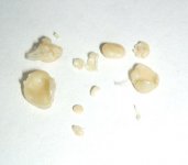 proteinaceous4.jpg