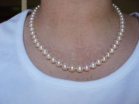 Freshadama pearls indoors near open door.jpg