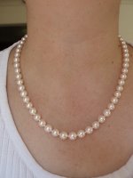 Freshadama necklace.jpg