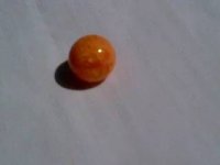 IMG-20170607-WA0010.jpg