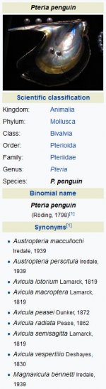 penguin.jpg