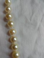 32 with 8.5-9 mm pearls of yellowish cream color, moderate blemishes and medium luster pearls on white