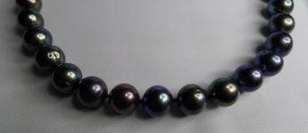 Black pearls P1020868.jpg