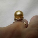 11-12 mm gold south sea pearl ring from local jeweler