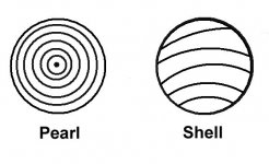 pearl_v_shell.jpg