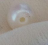 pearl_screw_earring_closeup.jpg
