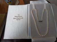 20170816_180008.jpg