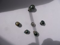 Some of the Pearls Purchased.jpg