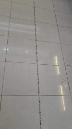 IMG_9057.jpg