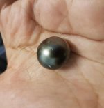 20170527_005043.jpg