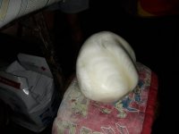 p1.jpg