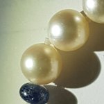 20171004_163255.jpg