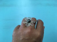 my new flower ring indoors