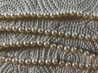 AD79EA92-AA90-40FA-AB24-A2F9E7785CB8.jpg
