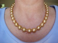 Golden SSP necklace in May.jpg