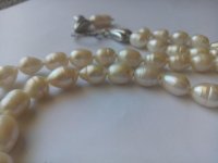 IMG20171107112345.jpg