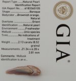 Natural Fish-Pearl GIA report.jpg