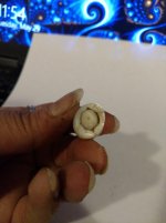 CameraZOOM-20180529235444117.jpg