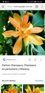 Screenshot_20180601-064454_Chrome.jpg
