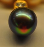 DSC_5658_2.jpg