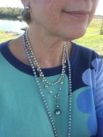 IMG_4021RSUP.jpg