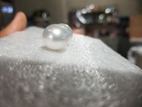 20180821_180740.jpg
