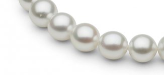 Close up of white south sea pearl stand pearl paradise
