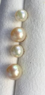 Earings5.jpg