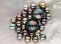 Tiny Tahitian pearls from Pearl Paradise.jpg