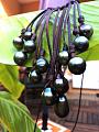 tahitian pearls cluster necklace4