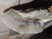 20181010_094108.jpg