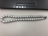 B1920553-E643-4A6B-B0D4-0E4A0062C7E4.jpg
