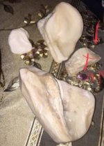 pearl 4 .jpg