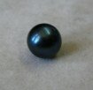 Natural Black Pearl Pteria sterna (4) [320x200].JPG