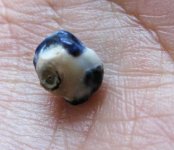 bluepearl 025.jpg