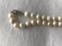 Pearl Necklace 1.jpg