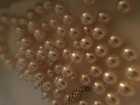 5E2F59A0-F5CC-4BC9-8314-7C9B948AECD3.jpg