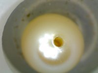 forumpearl4mm1.jpg