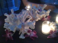 pearls by candlelight.jpg