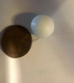 Pearl 1.jpg Pearl 1.jpg