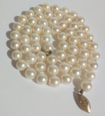 IMG_20201113_182438.jpg