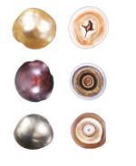 Structure of a natural pearl