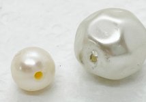 IMG_2574.jpg