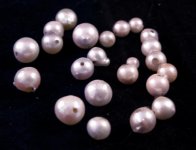 round abalone pearls.jpg