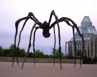 louise-bourgeois-spider.jpg