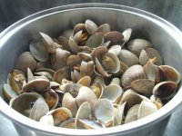 clams.jpg