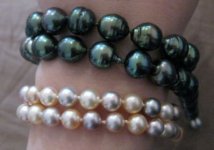 tahitian and exotic resized.jpg