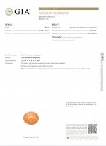617BF146-B480-4831-A392-426EE0792E35.jpeg