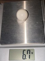 Round natural clam pearls. 33,5crt